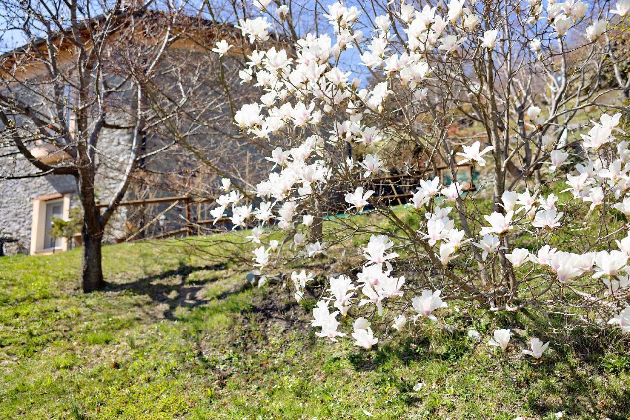 Casa Dei Tigli Villa Ormea Eksteriør bilde